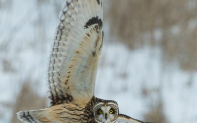 SOBOTA – JEDNA Z WIELU